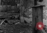 Standbild M4 Sherman Panzer Haguenau Frankreich, 1944, aus Sekunde 59 historischem Filmmaterial Videoclip 65675069535