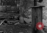 Standbild M4 Sherman Panzer Haguenau Frankreich, 1944, aus Sekunde 60 historischem Filmmaterial Videoclip 65675069535