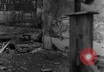 Standbild M4 Sherman Panzer Haguenau Frankreich, 1944, aus Sekunde 61 historischem Filmmaterial Videoclip 65675069535