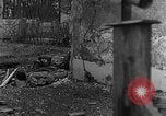Standbild M4 Sherman Panzer Haguenau Frankreich, 1944, aus Sekunde 62 historischem Filmmaterial Videoclip 65675069535