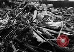 Standbild Schäden durch Überschwemmungen Japan, 1957, aus Sekunde 62 historischem Filmmaterial Videoclip 65675069537