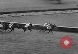 Immagine di Arlington Handicap Chicago Illinois USA, 1957, secondo 18 filmato di repertorio 65675069542