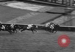 Immagine di Arlington Handicap Chicago Illinois USA, 1957, secondo 19 filmato di repertorio 65675069542