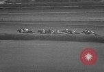 Immagine di Arlington Handicap Chicago Illinois USA, 1957, secondo 29 filmato di repertorio 65675069542