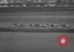 Immagine di Arlington Handicap Chicago Illinois USA, 1957, secondo 30 filmato di repertorio 65675069542