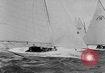 Immagine di La settimana della vela Holland Olanda, 1957, secondo 15 filmato di repertorio 65675069543