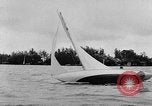 Immagine di La settimana della vela Holland Olanda, 1957, secondo 40 filmato di repertorio 65675069543
