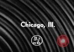 Standbild ein Collie Chicago Illinois USA, 1957, aus Sekunde 3 historischem Filmmaterial Videoclip 65675069546