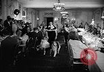 Standbild ein Collie Chicago Illinois USA, 1957, aus Sekunde 6 historischem Filmmaterial Videoclip 65675069546