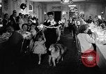 Standbild ein Collie Chicago Illinois USA, 1957, aus Sekunde 8 historischem Filmmaterial Videoclip 65675069546