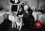 Standbild ein Collie Chicago Illinois USA, 1957, aus Sekunde 11 historischem Filmmaterial Videoclip 65675069546