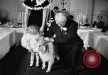 Standbild ein Collie Chicago Illinois USA, 1957, aus Sekunde 12 historischem Filmmaterial Videoclip 65675069546