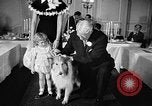 Standbild ein Collie Chicago Illinois USA, 1957, aus Sekunde 13 historischem Filmmaterial Videoclip 65675069546