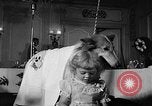 Standbild ein Collie Chicago Illinois USA, 1957, aus Sekunde 20 historischem Filmmaterial Videoclip 65675069546