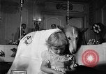 Standbild ein Collie Chicago Illinois USA, 1957, aus Sekunde 21 historischem Filmmaterial Videoclip 65675069546