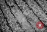 Image of Women divers compete at AAU meet in Houston, Texas Houston Texas USA, 1957, second 15 stock footage video 65675069557