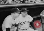 Image of Mickey Mantle and Ted Williams for batting title New York City USA, 1957, second 9 stock footage video 65675069559