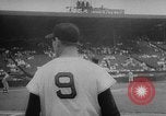 Image of Mickey Mantle and Ted Williams for batting title New York City USA, 1957, second 14 stock footage video 65675069559