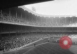Image of Mickey Mantle and Ted Williams for batting title New York City USA, 1957, second 25 stock footage video 65675069559