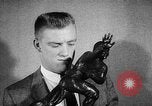 Image of Notre Dame upsets Oklahoma in 7-0 football victory Norman Oklahoma USA, 1957, second 28 stock footage video 65675069560