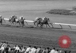 Image Hollywood Derby Inglewood California USA, 1962, de la seconde 48 séquences d'archives historiques vidéo 65675069566