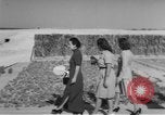 Image Madame Chiang Kai-shek United States USA, 1945, de la seconde 8 séquences d'archives historiques vidéo 65675069568
