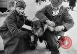 Standbild United States Army Besatzungsmitglieder Michigan United States USA, 1937, aus Sekunde 21 historischem Filmmaterial Videoclip 65675069575