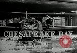Standbild Feder Überschwemmungen Chesapeake Bay Maryland USA, 1936, aus Sekunde 3 historischem Filmmaterial Videoclip 65675069576
