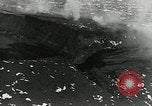 Standbild Mauna Loa Eruption Hawaii USA, 1940, aus Sekunde 22 historischem Filmmaterial Videoclip 65675069587