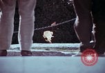 Image of John F Kennedy Washington DC USA, 1969, second 33 stock footage video 65675069598