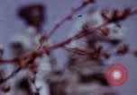 Image of statues and monuments Washington DC USA, 1969, second 4 stock footage video 65675069599