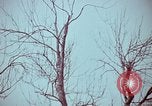 Image of statues and monuments Washington DC USA, 1969, second 35 stock footage video 65675069599