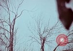 Image of statues and monuments Washington DC USA, 1969, second 36 stock footage video 65675069599