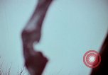 Image of statues and monuments Washington DC USA, 1969, second 38 stock footage video 65675069599