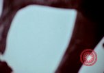 Image of statues and monuments Washington DC USA, 1969, second 39 stock footage video 65675069599