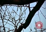 Image of statues and monuments Washington DC USA, 1969, second 32 stock footage video 65675069601