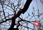 Image of statues and monuments Washington DC USA, 1969, second 34 stock footage video 65675069601