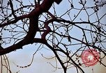 Image of statues and monuments Washington DC USA, 1969, second 36 stock footage video 65675069601