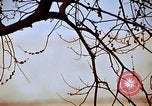 Image of statues and monuments Washington DC USA, 1969, second 38 stock footage video 65675069601