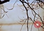 Image of statues and monuments Washington DC USA, 1969, second 39 stock footage video 65675069601