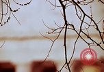 Image of statues and monuments Washington DC USA, 1969, second 40 stock footage video 65675069601