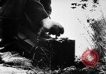 Immagine di I soldati tedeschi Unione Sovietica, 1944, secondo 18 filmato di repertorio 65675069625