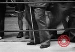 Image championnat de boxe Annapolis Maryland USA, 1944, de la seconde 50 séquences d'archives historiques vidéo 65675069628