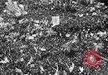 Image of Liberation of Greece Athens Greece, 1944, second 42 stock footage video 65675069631