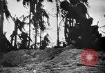 Immagine di Stati Uniti Marines Isole Palau, 1944, secondo 7 filmato di repertorio 65675069632