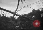 Immagine di Stati Uniti Marines Isole Palau, 1944, secondo 9 filmato di repertorio 65675069632