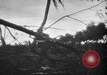 Immagine di Stati Uniti Marines Isole Palau, 1944, secondo 10 filmato di repertorio 65675069632