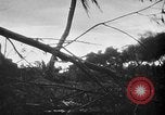 Immagine di Stati Uniti Marines Isole Palau, 1944, secondo 11 filmato di repertorio 65675069632