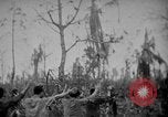 Immagine di Stati Uniti Marines Isole Palau, 1944, secondo 51 filmato di repertorio 65675069632