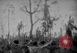 Immagine di Stati Uniti Marines Isole Palau, 1944, secondo 52 filmato di repertorio 65675069632